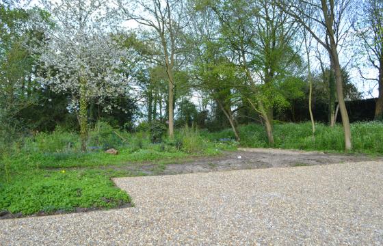 Land for sale in Norfolk photo