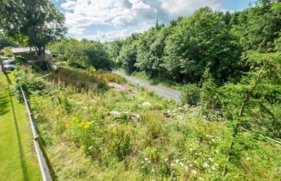 Land for sale in Alnwick, Northumberland photo