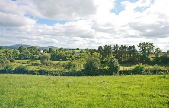 Land for sale in County Down photo