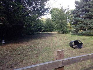Land for sale in Suffolk photo