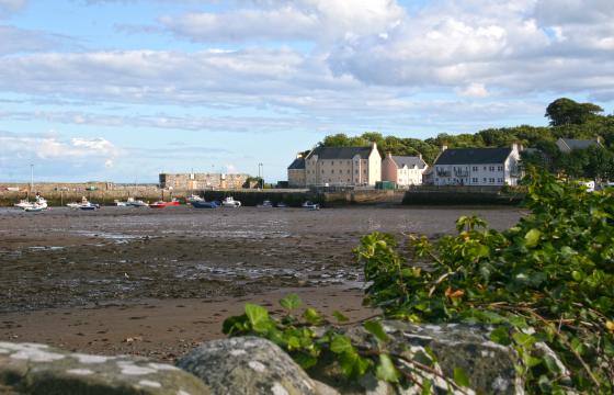 Land for sale in Dumfries and Galloway photo
