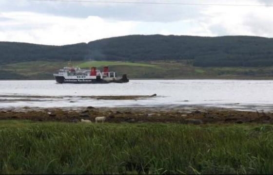 Land for sale in Ardpatrick, Argyll and Bute photo