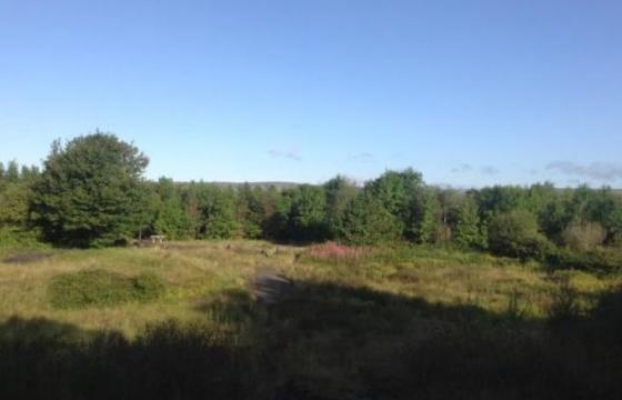 Land for sale in Tredegar, Blaenau Gwent photo