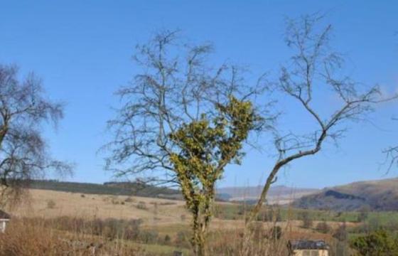 Land for sale in Merthyr Tydfil, Caerphilly photo