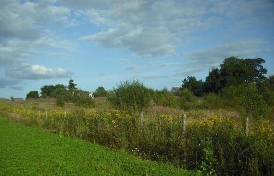 Land for sale in Moray photo