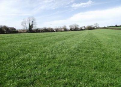 Land for sale in LAUNCESTON Cornwall photo