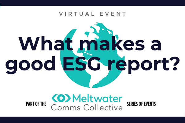 What makes a good ESG report?