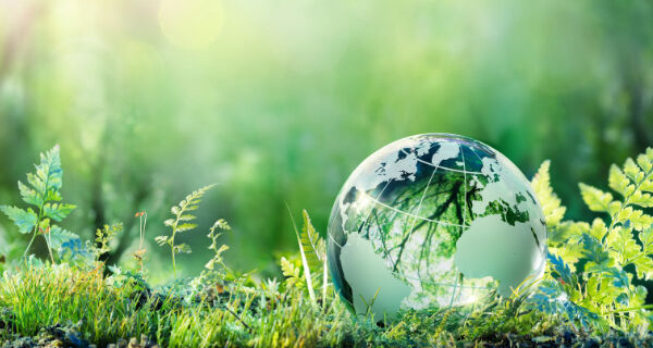 UK sustainability heads are optimistic about environmental strategies