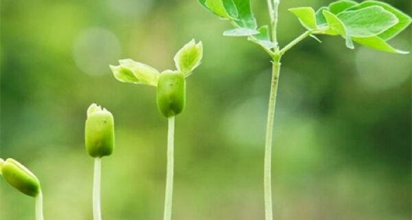 How to thrive in a PR agency