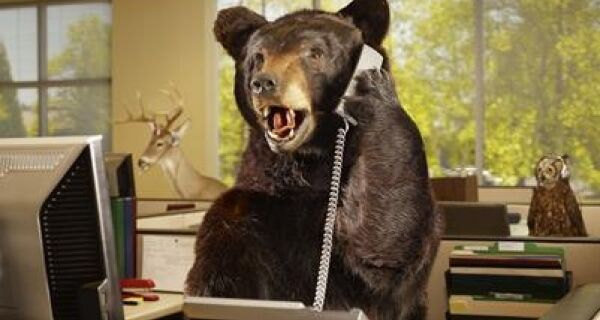 What sort of PR animal are you?