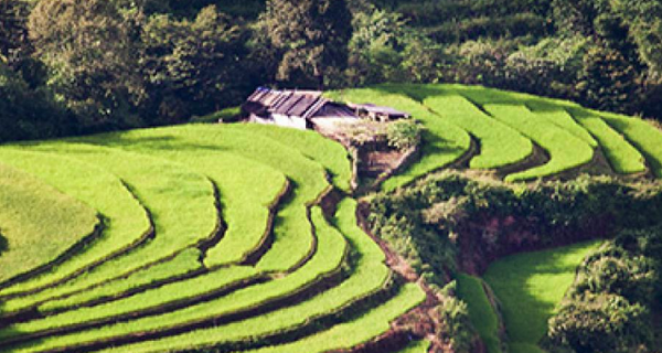 PR Professionals handles mandate for key conference by the United Nations Convention to Combat Desertification