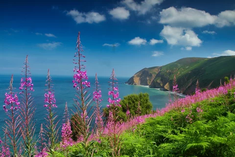 Shutterstock 1743511880 jpg resized