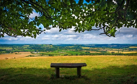 Shutterstock 1332885860 jpg resized