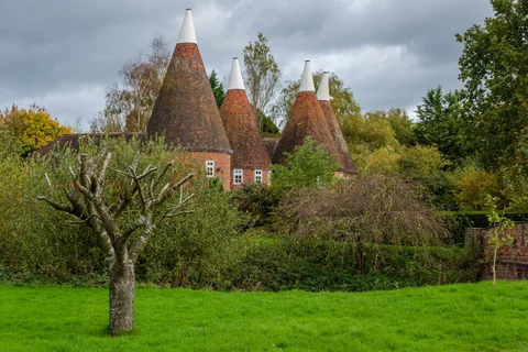 Shutterstock 1550340644 jpg 1