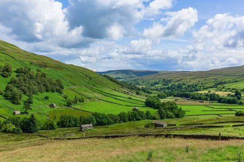 Shutterstock 2492008177 jpg resized