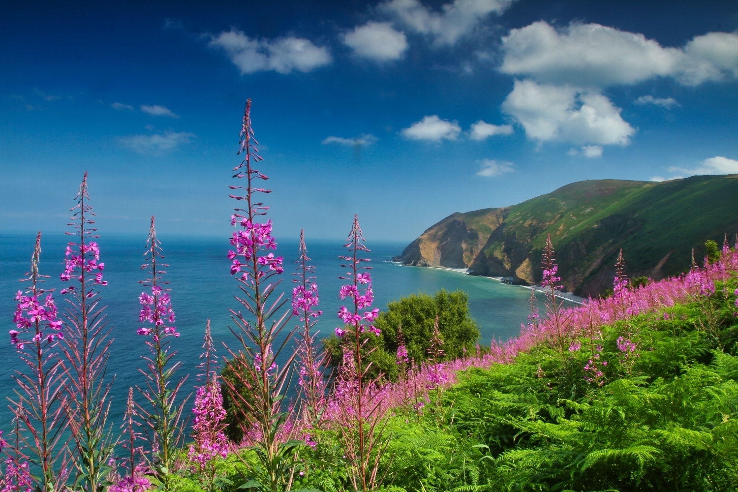 Shutterstock 1743511880 jpg resized