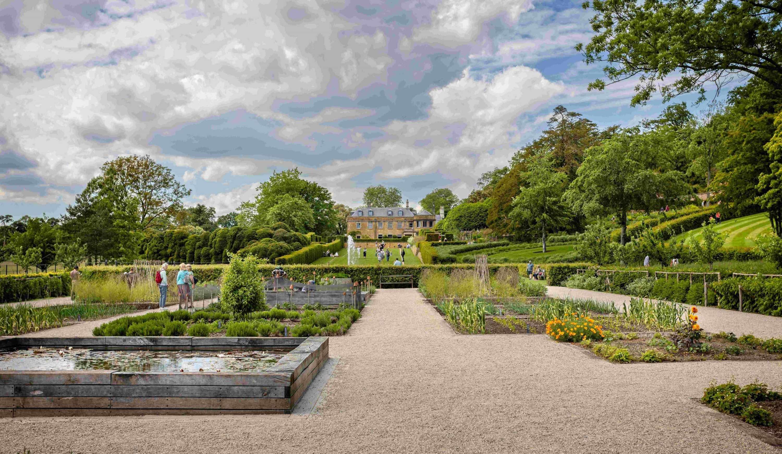 Shutterstock 2163336257 jpg the newt