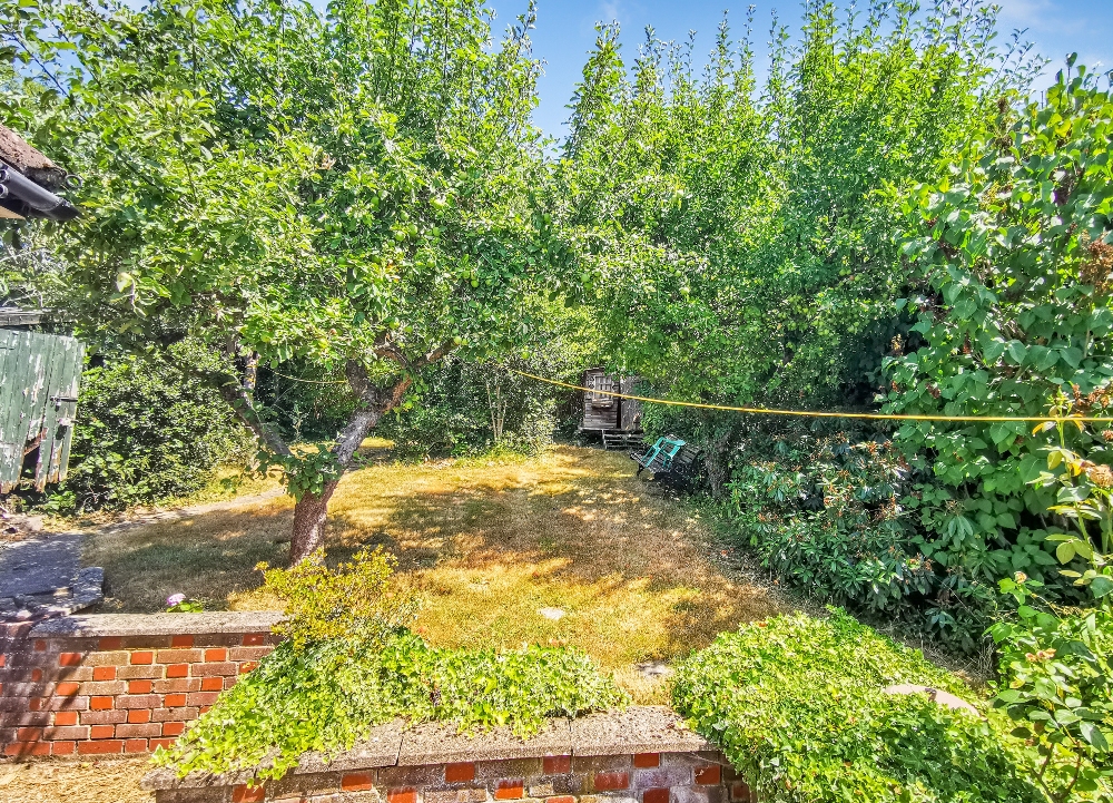 18 - Garden