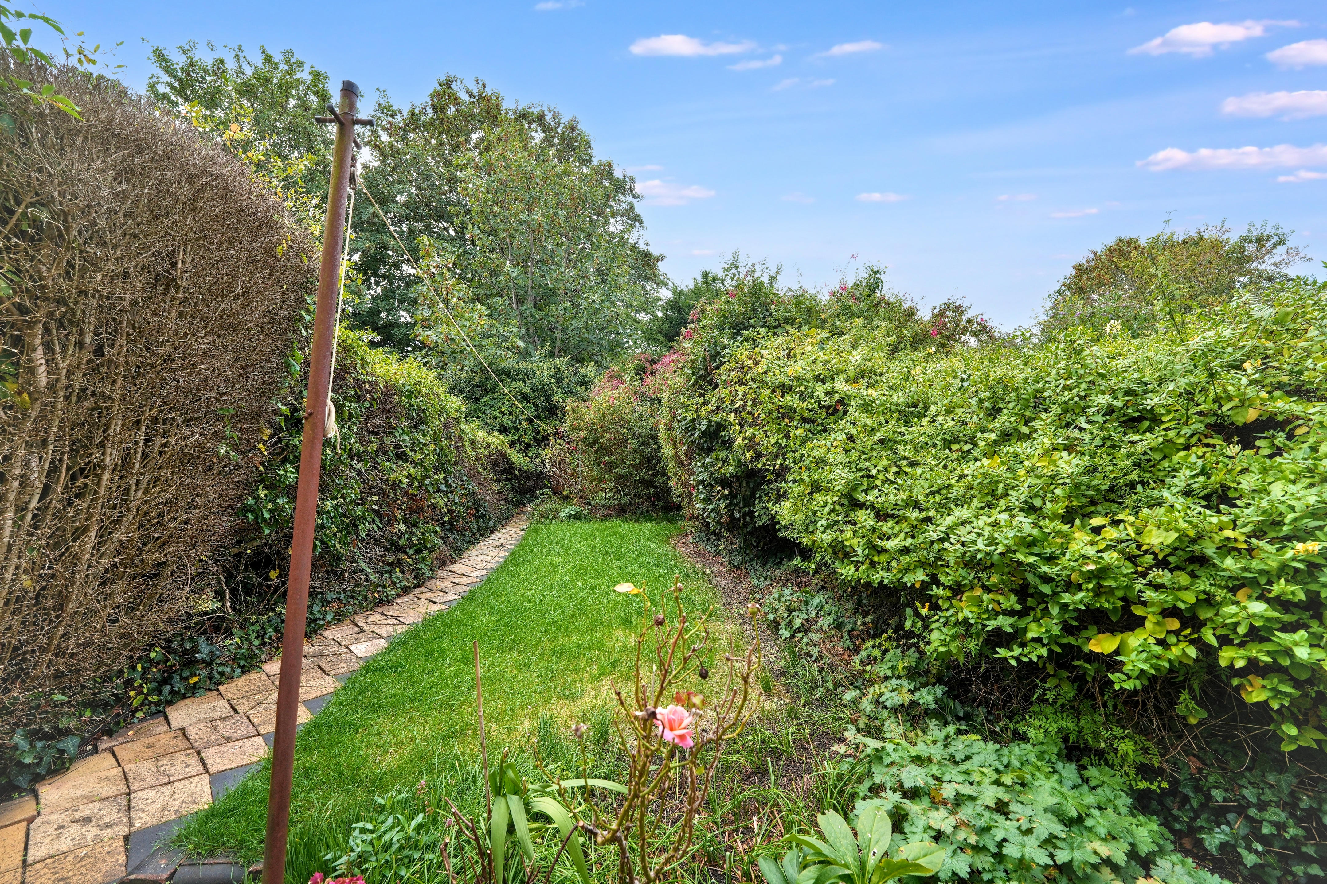 19 - Garden