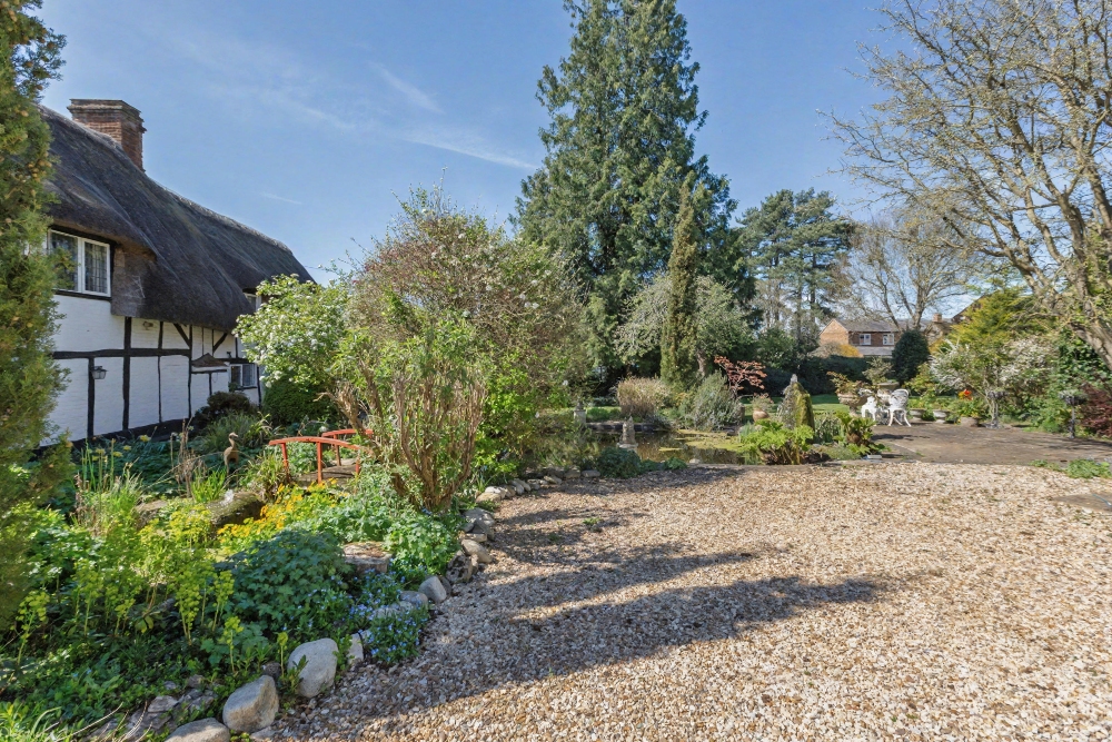 31 - Garden