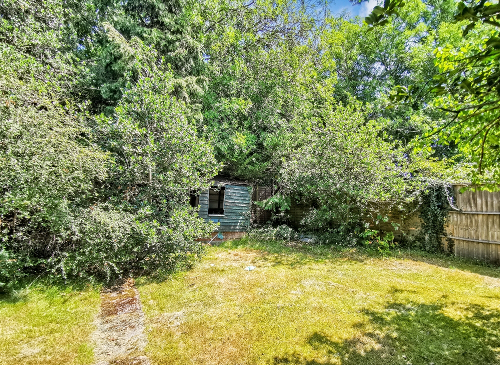 19 - Garden