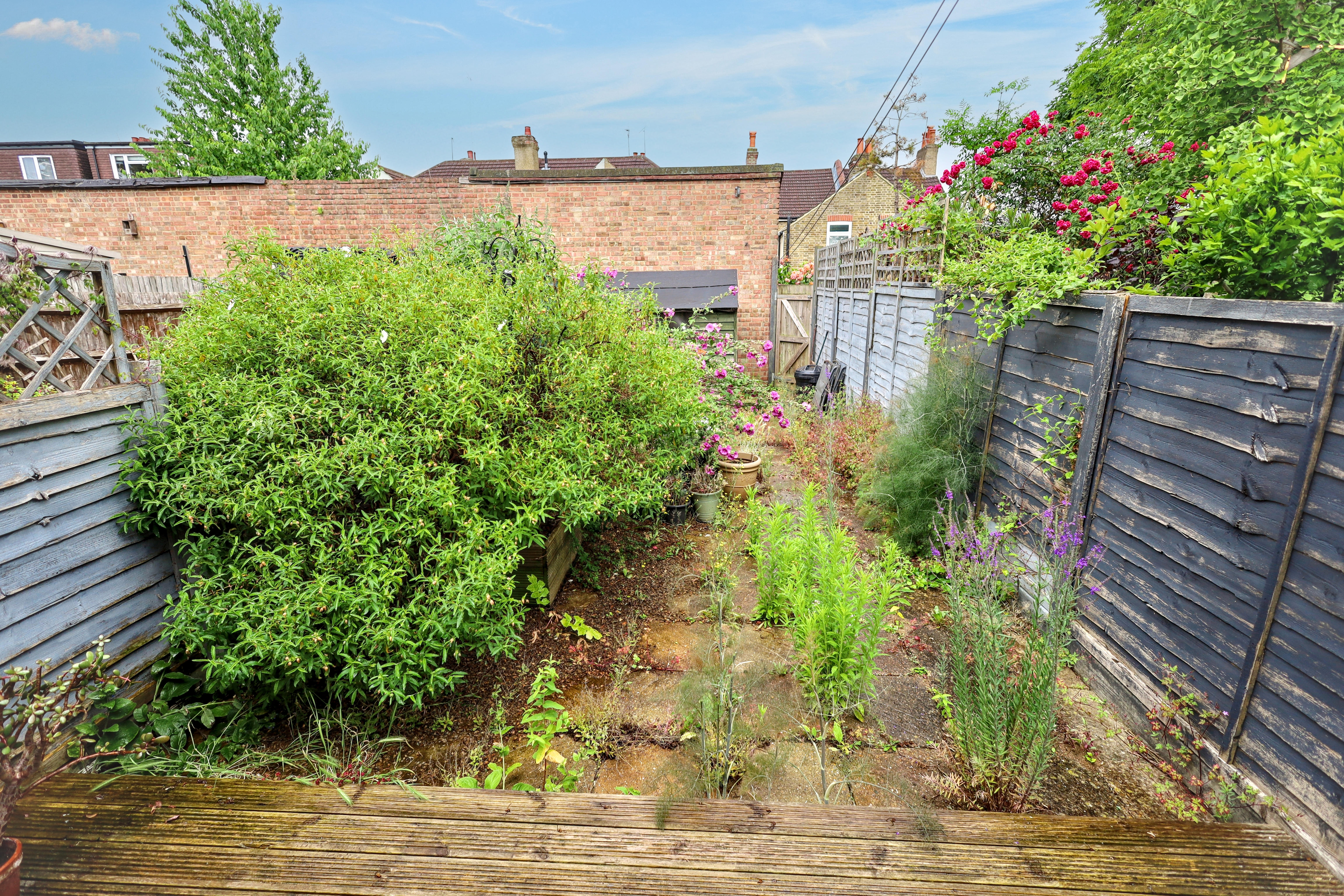 19 - Garden