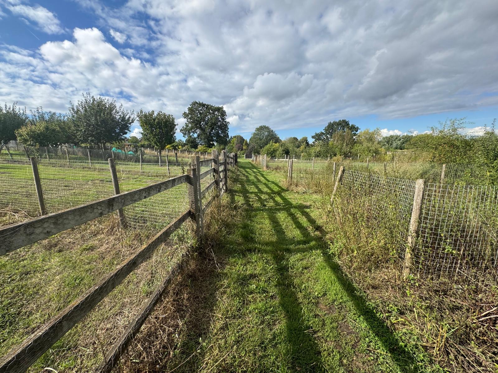 26 - Land at rear