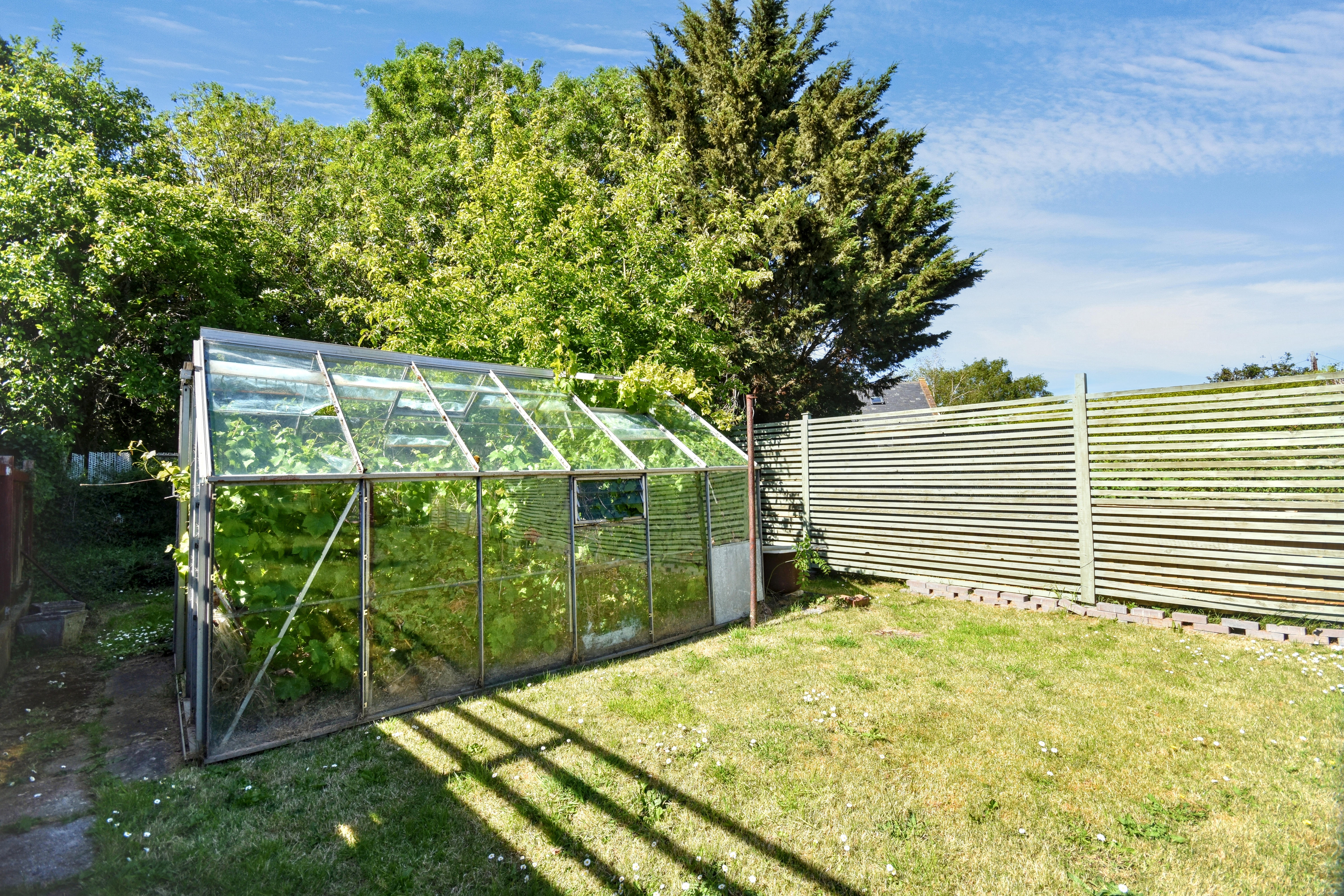 19 - Garden