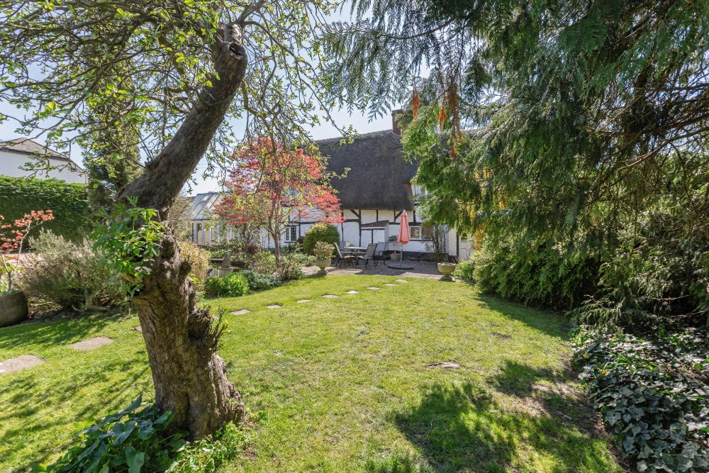 34 - Garden
