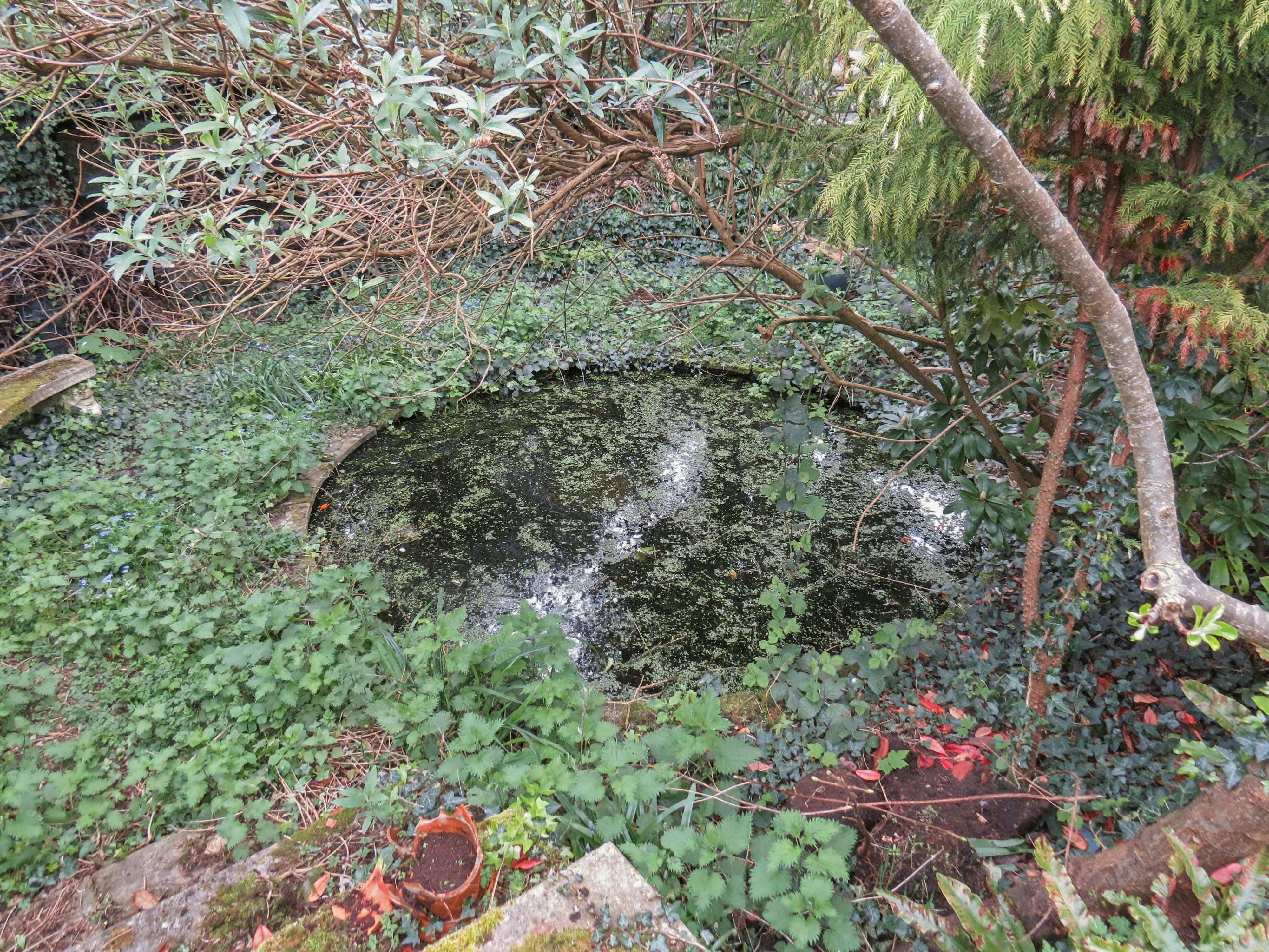 23 - Garden