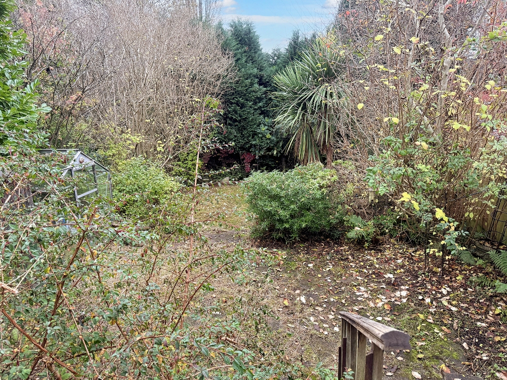 20 - Garden