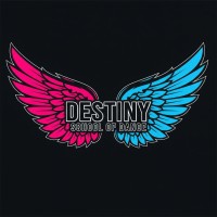 Destiny School Of Dance