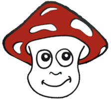 Mushroom Theatre Company