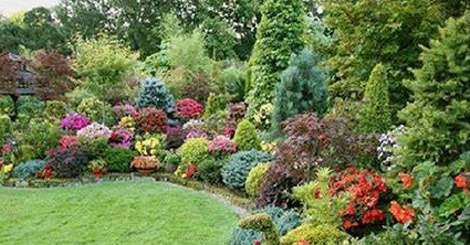 Mayflower Community Hospital Garden