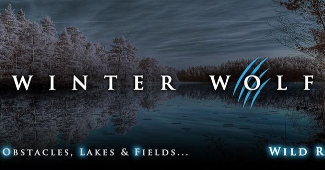 Winter wolf run
