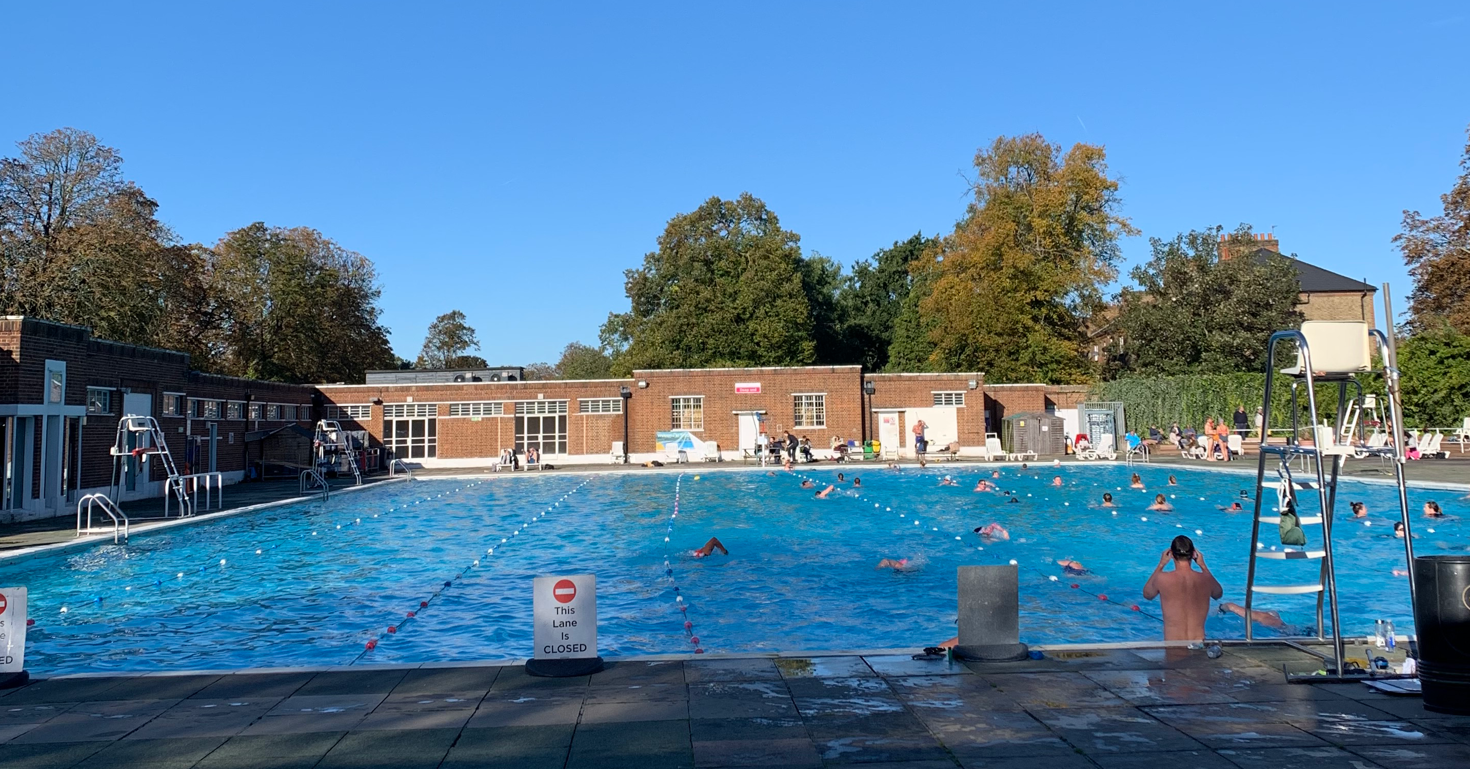 Woody Winter Swim