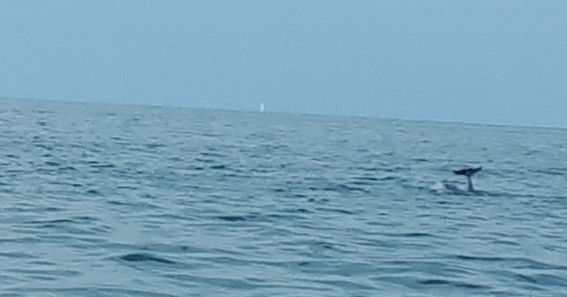 Rowing the Channel