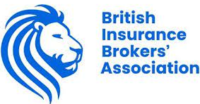 BIBA South Wales Charity Challenge