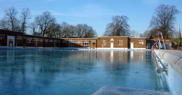 Woody Winter Swim