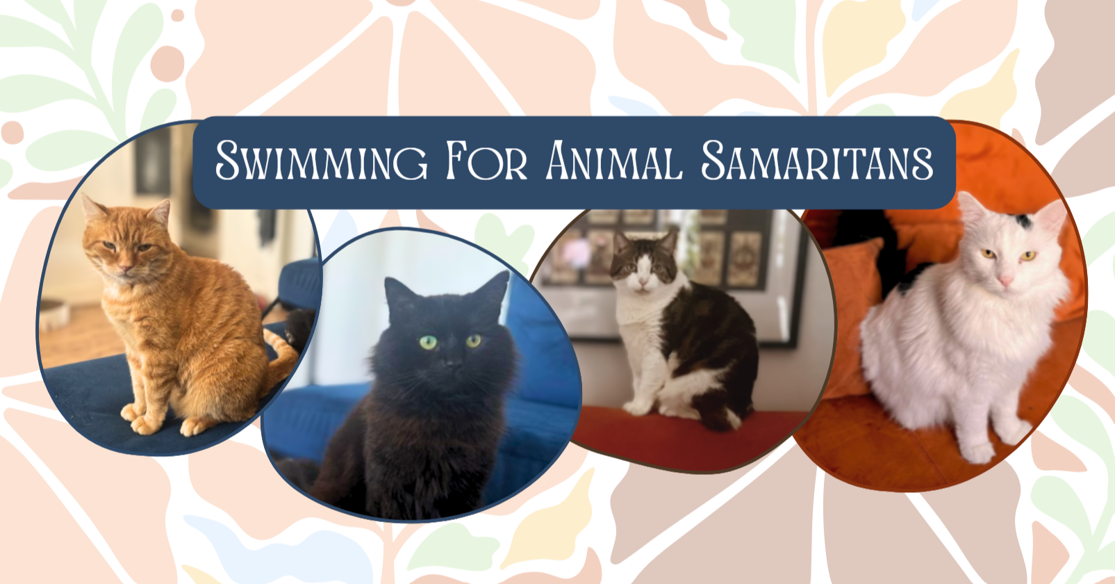 Serpentine Swim for Animal Samaritans