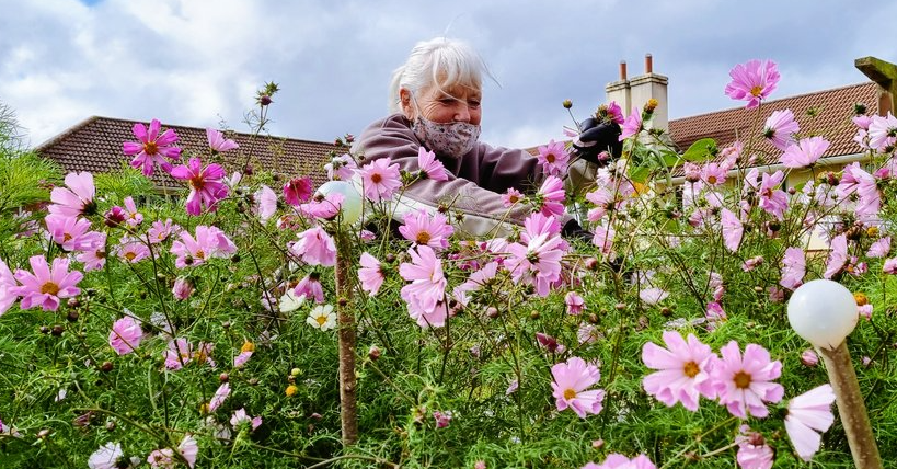 Community Garden at the Pioneering Care Centre