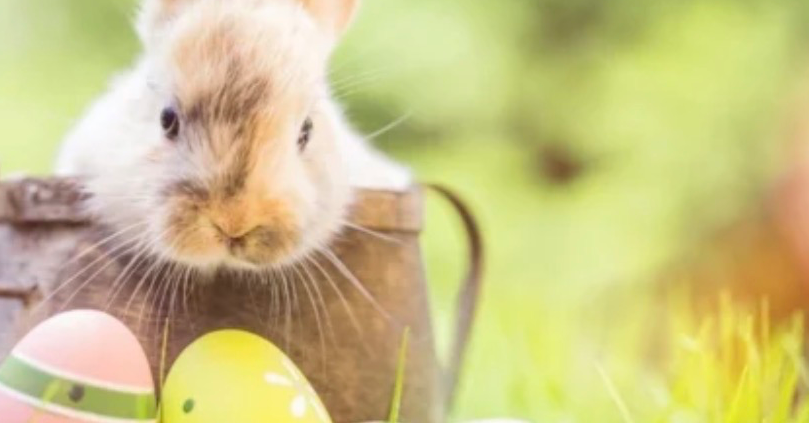 Easter sponsored walk