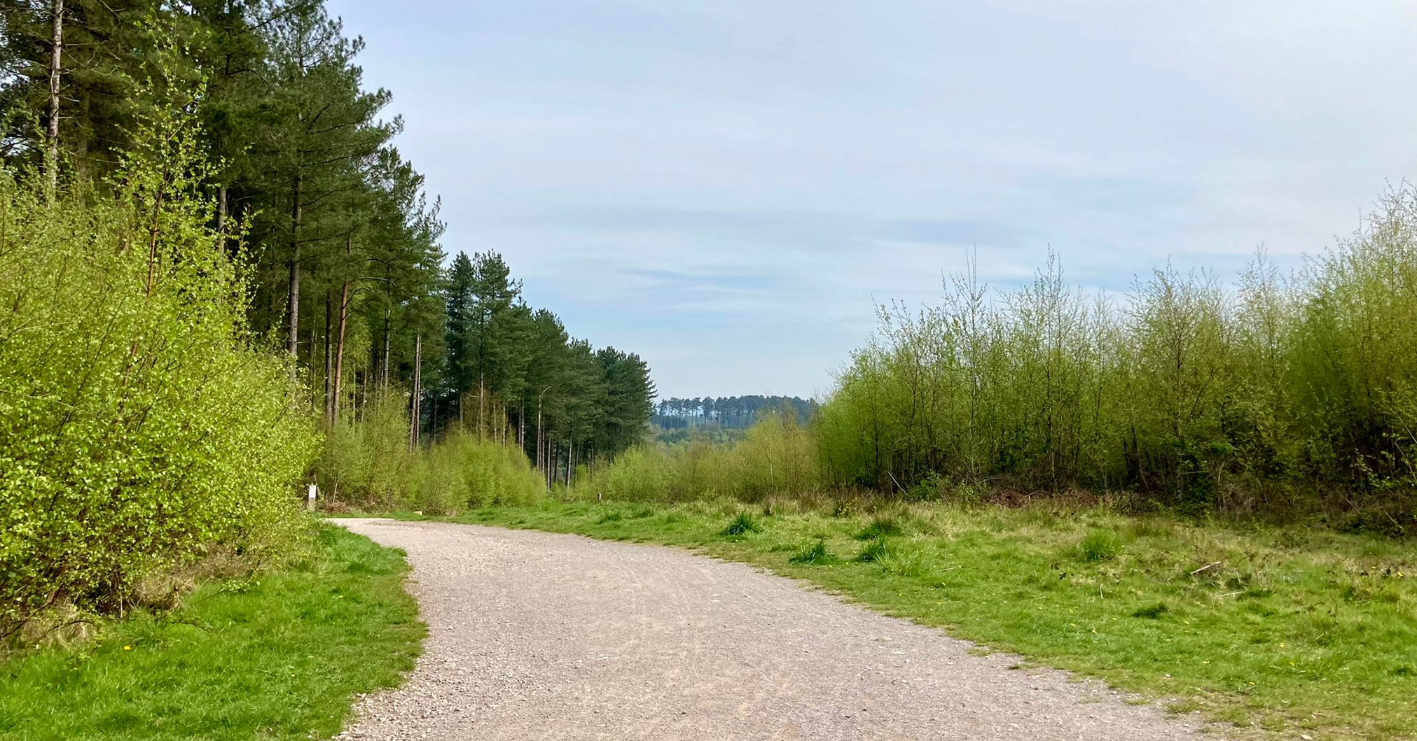 A Walk in the Chase