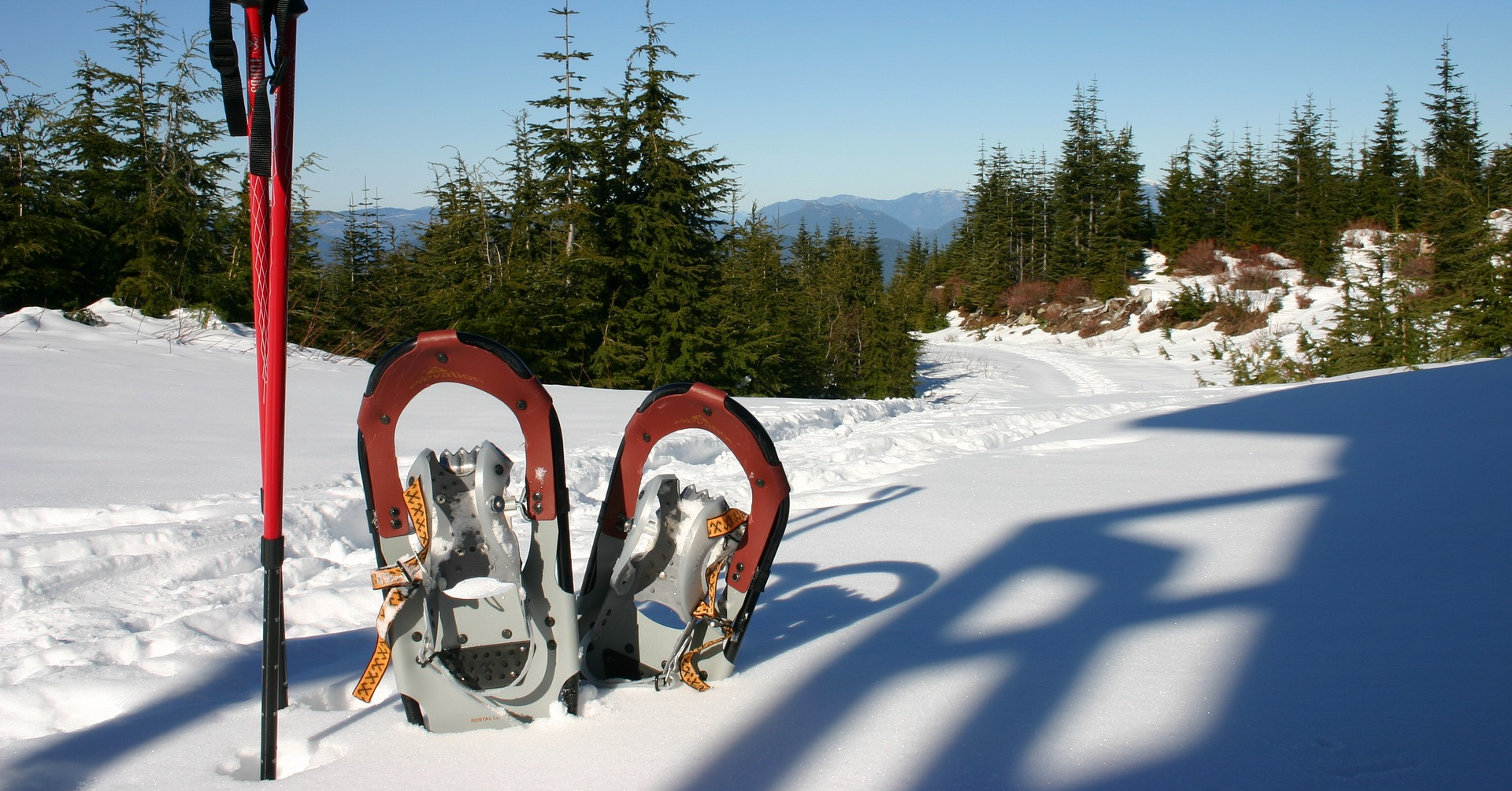 Andrew's Arctic Challenge 2022