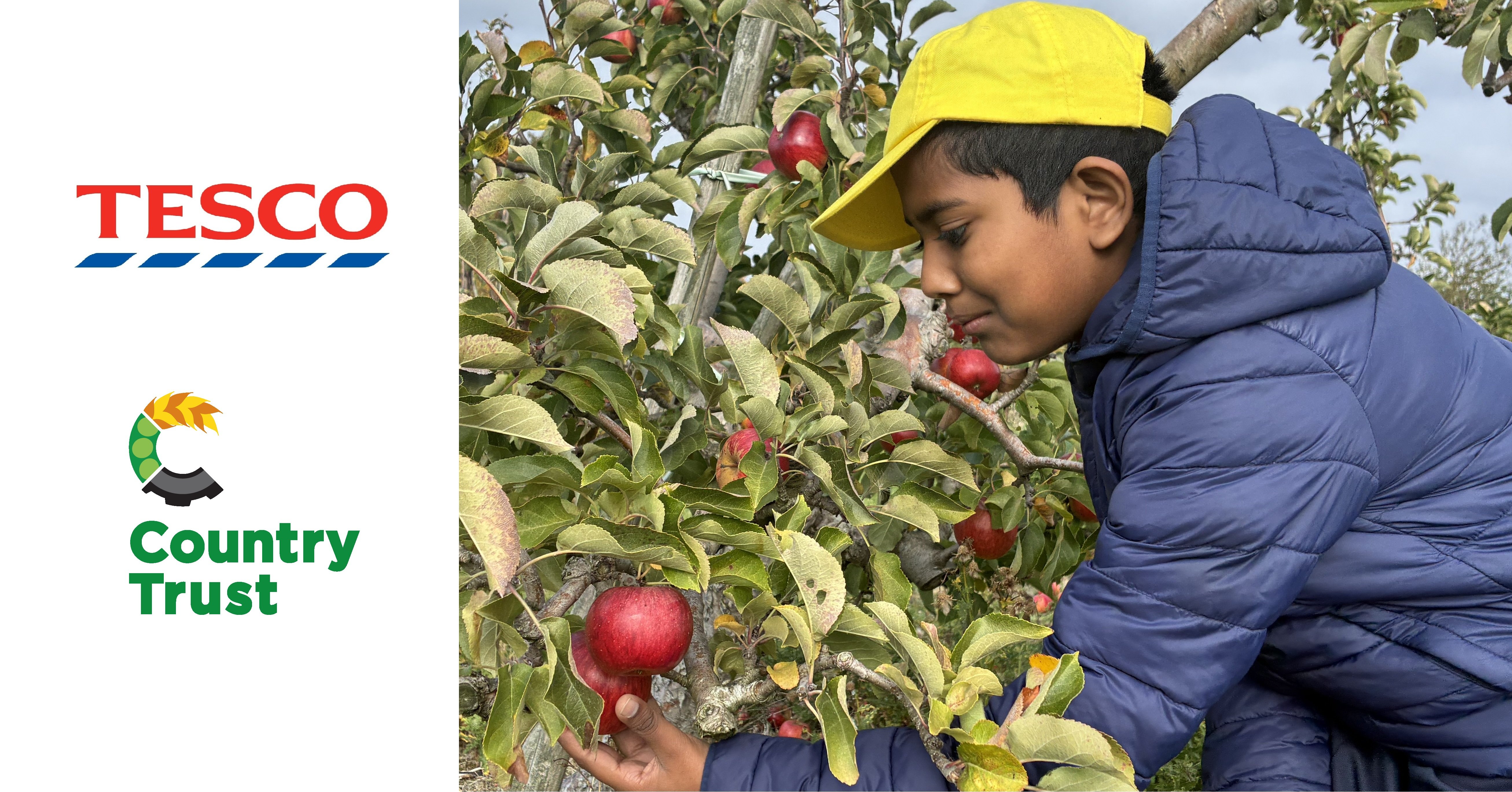 Tesco Produce Charity Challenge 2026