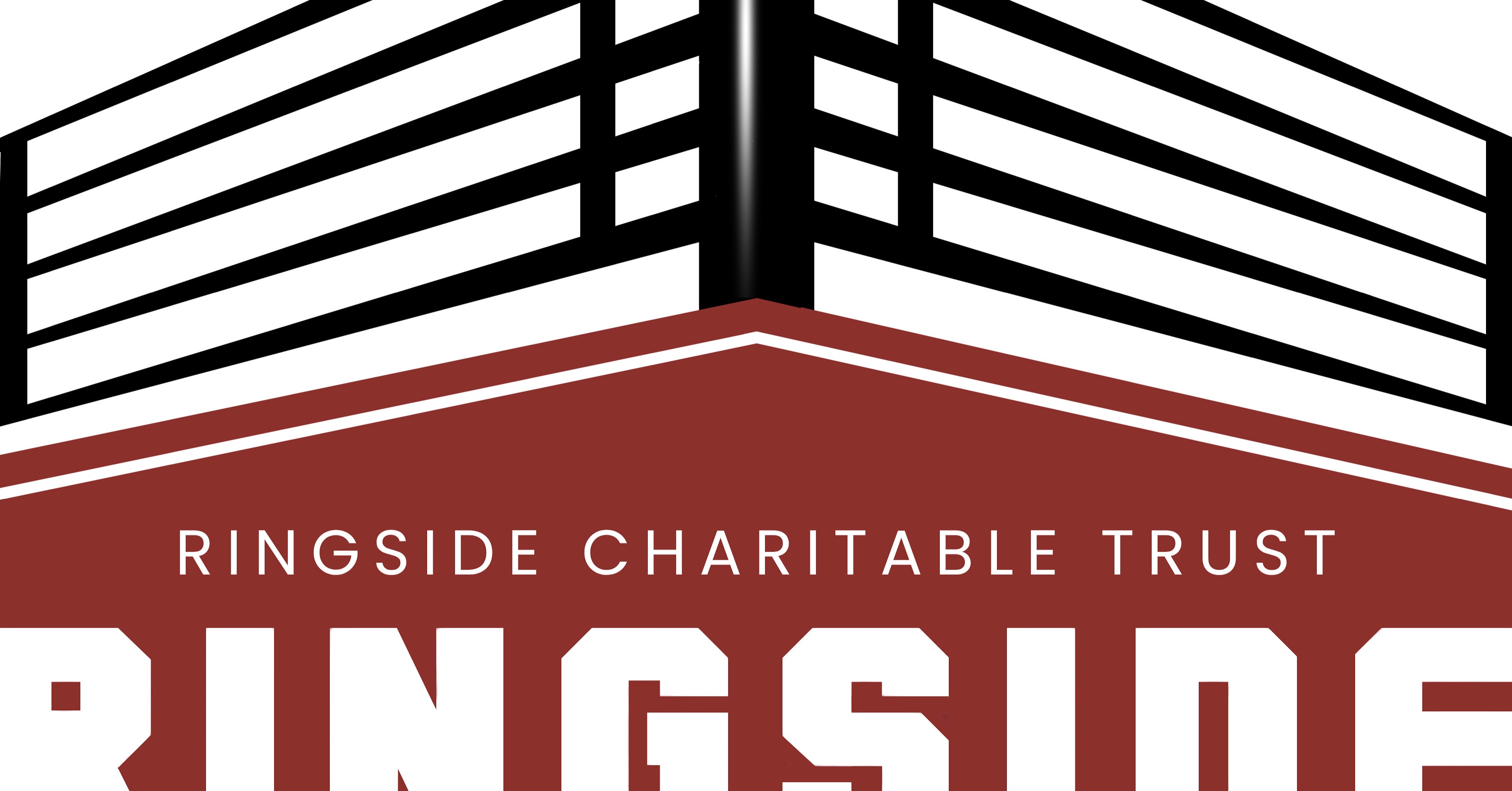 A Charity Sky Dive