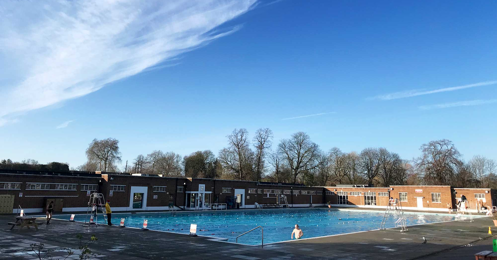 Woody Winter Swim