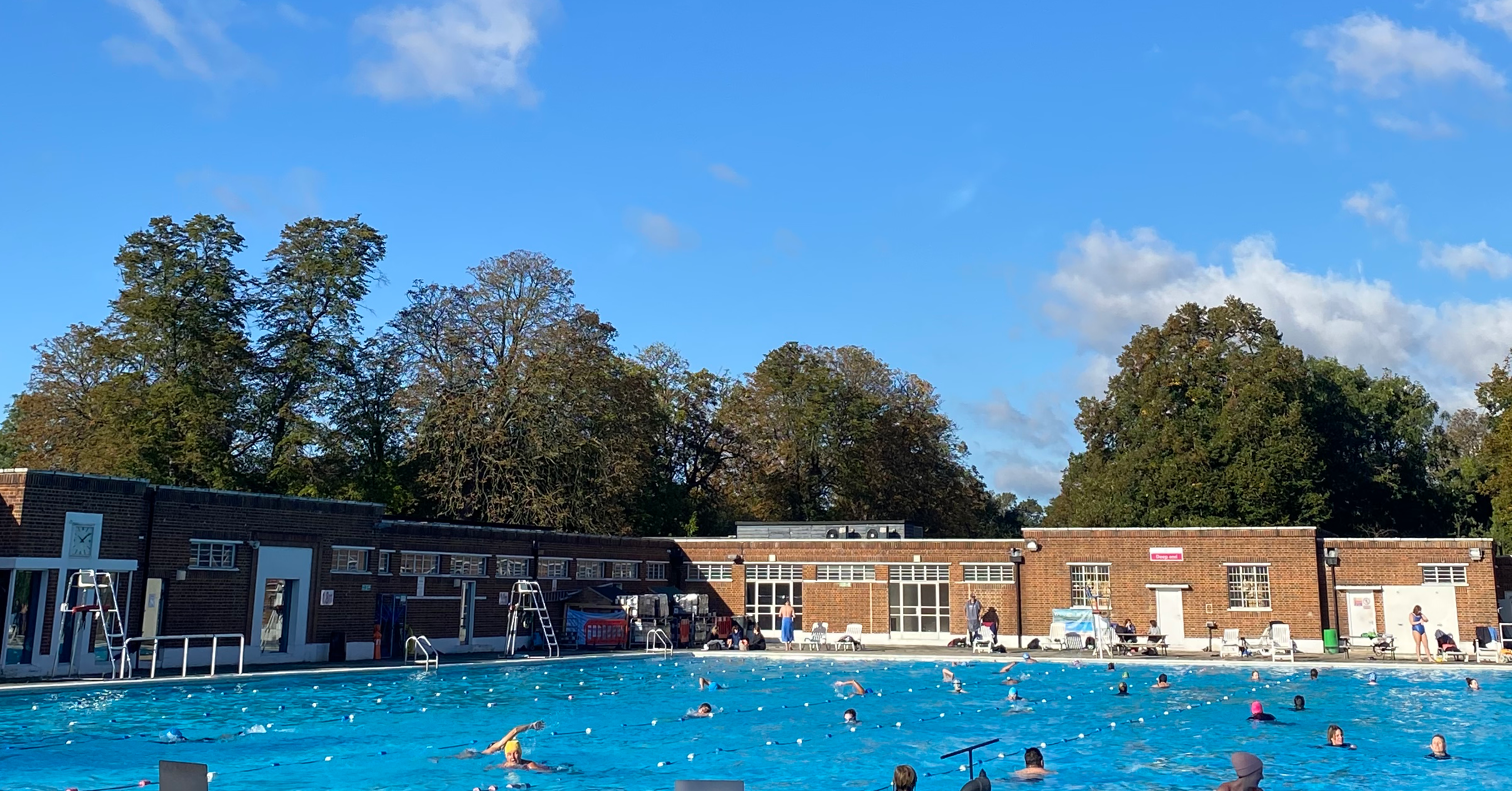 Woody Winter Swim
