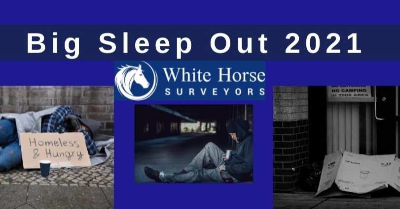 White Horse Surveyors Team