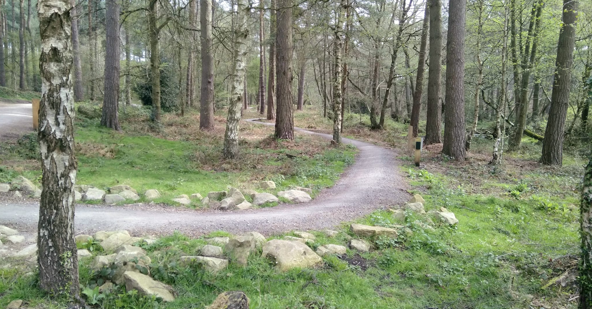 The Chase Walk
